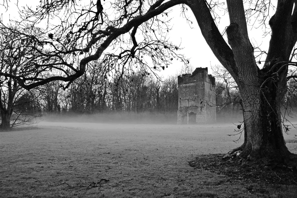 Newbridge Demense Castle (Tower House), Lanestown