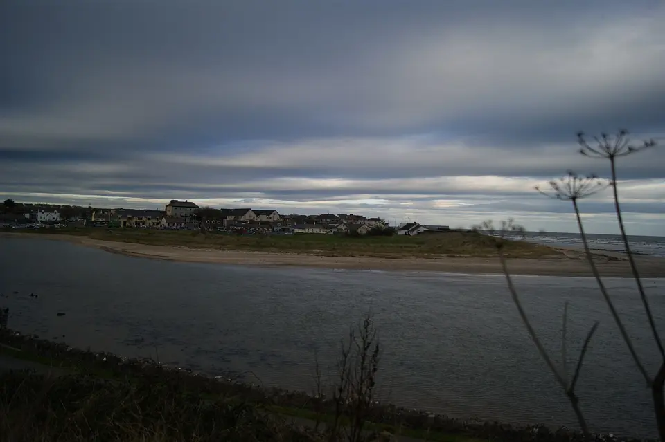 Laytown (Co. Meath)