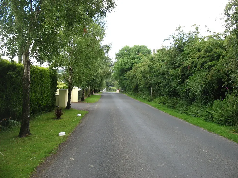 Leaving Knockananna, heading for Hacketstown