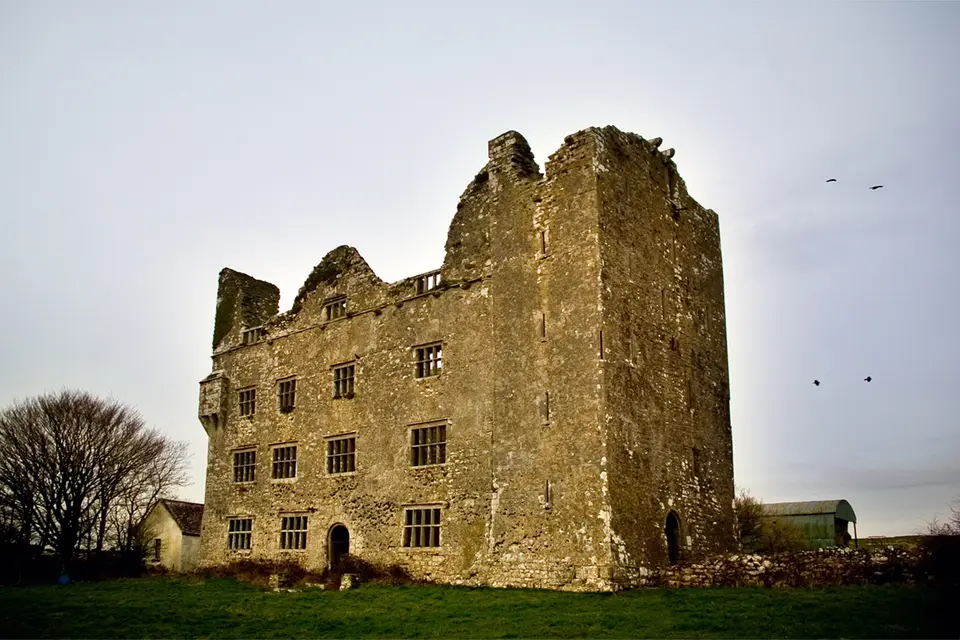Lemaneagh Castle