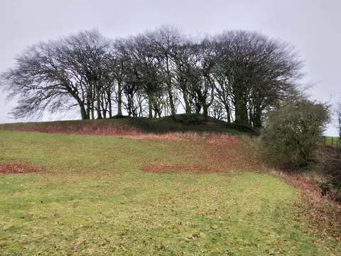 Looking south towards Lemonstown Motte, County Wicklow, Ireland.