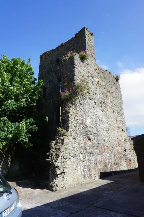 Fanning's Castle, also called Whitamore's Castle, is the remains of a tower house and National Monument located in Limerick, Ireland