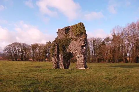 Lismaine Castle or what remains