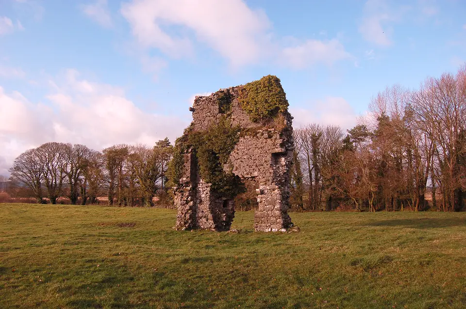 Lismaine Castle or what remains
