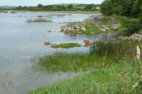 Lough Funshinagh Looking north from the adjacent road.