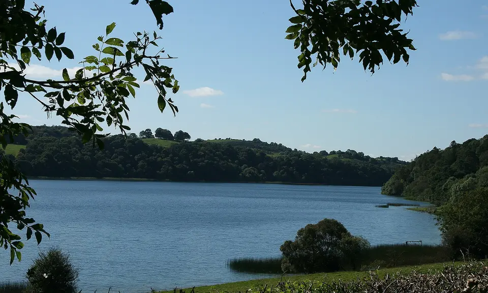 Lough Bane, County Meath