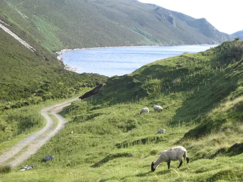 Lough Salt (altitude 246m) - Donegal
