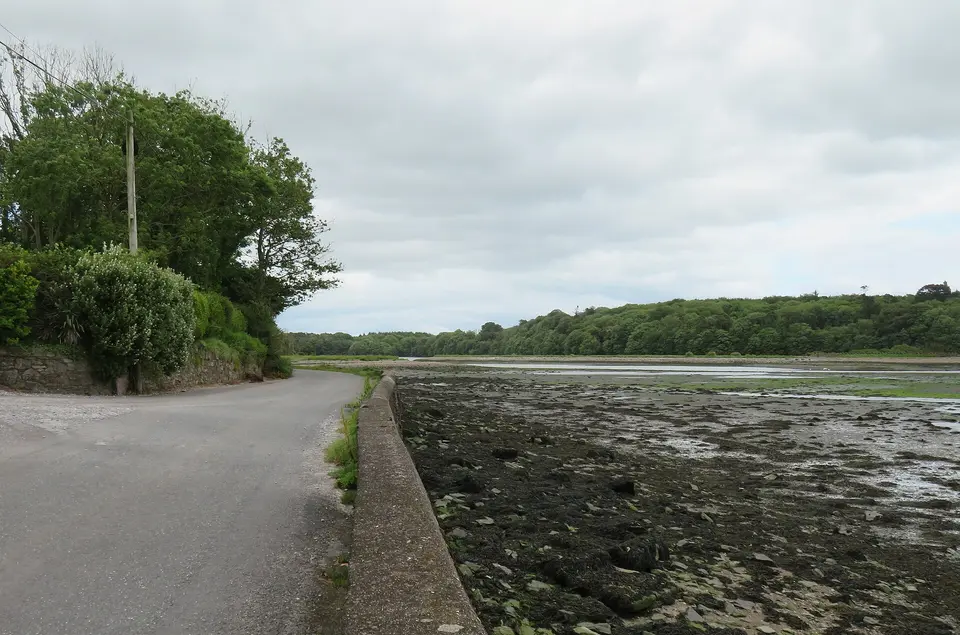 Low tide on a side channel of Cork Harbour