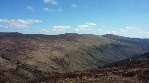 Summit of Lugduff from across the Glenmalure valley on Camenabologue