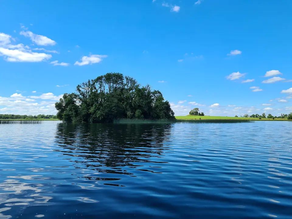 Croinís or "Malachys Island", Lough Ennell, Island home and deathplace of Máel Sechnaill mac Domnaill (King Malachy II).