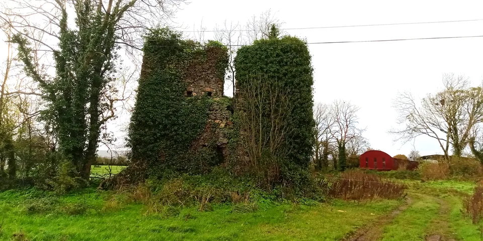 Grange Castle