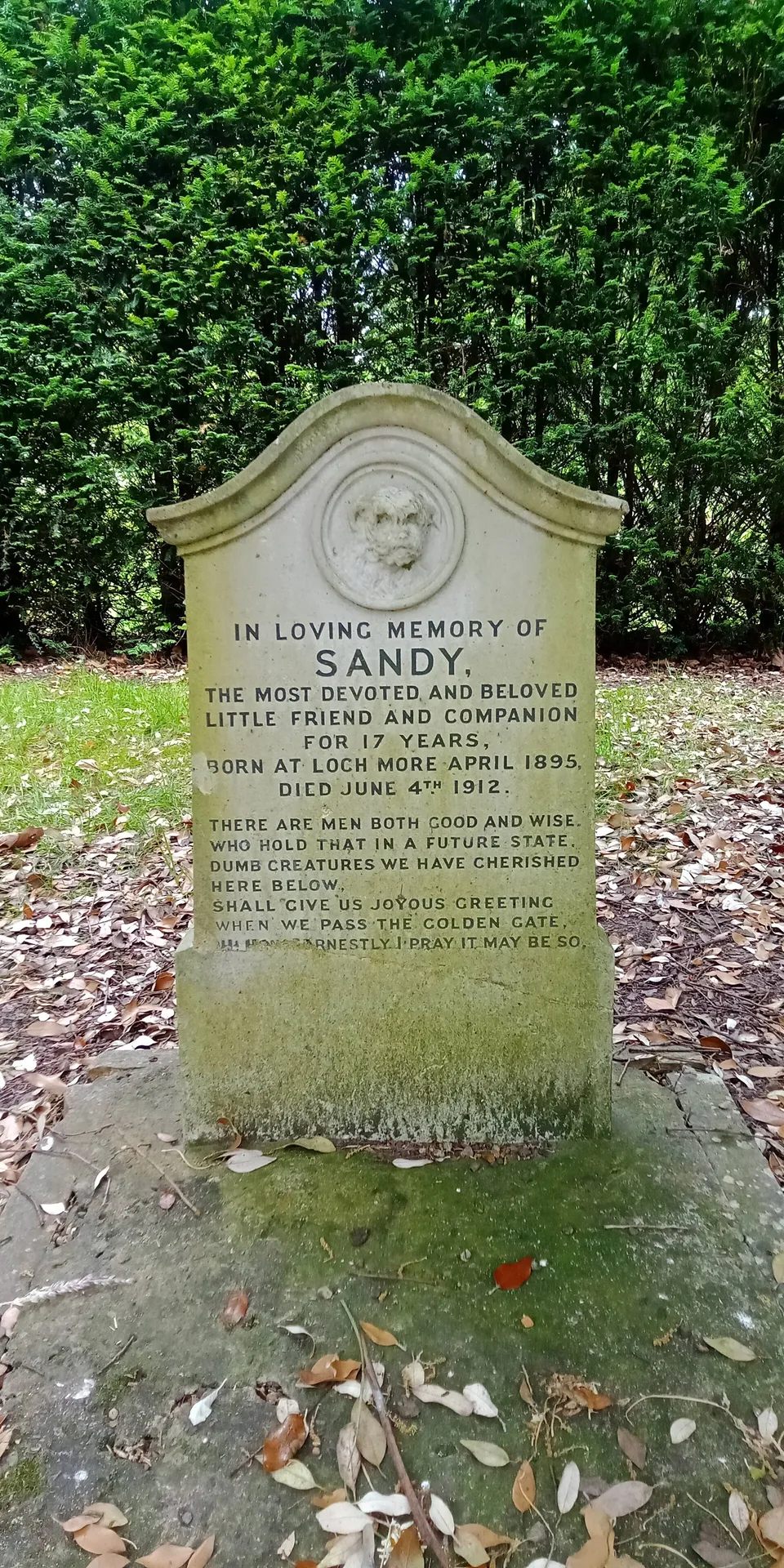 Sandy