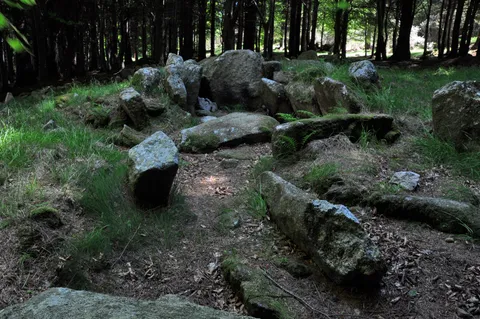 Kilmashogue Wedge Tomb
