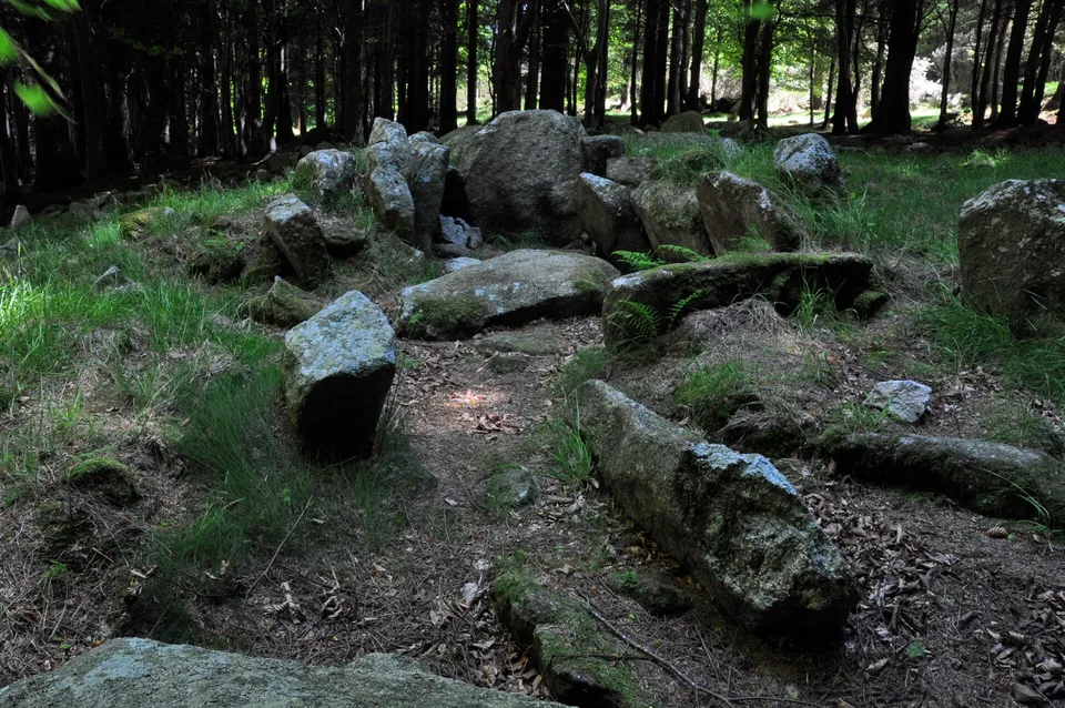 Kilmashogue Wedge Tomb