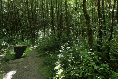 Saint Coleman's Well