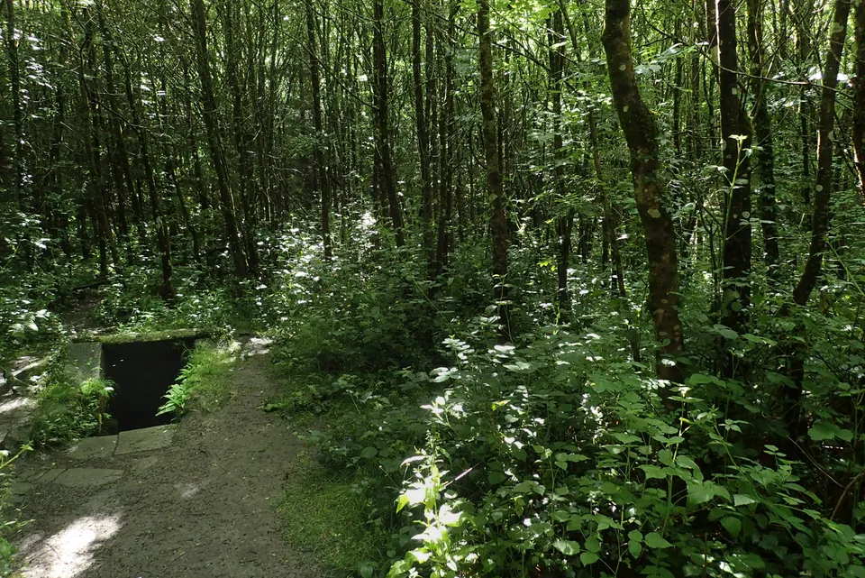 Saint Coleman's Well