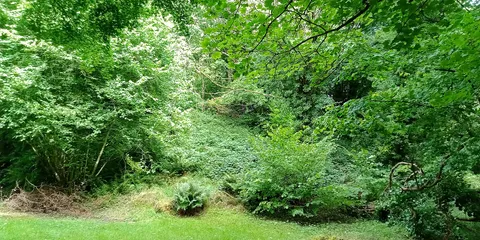 Castlecomer Motte