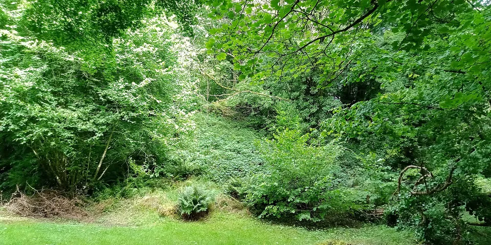 Castlecomer Motte