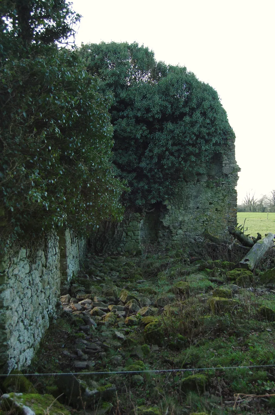 Frankfort Castle