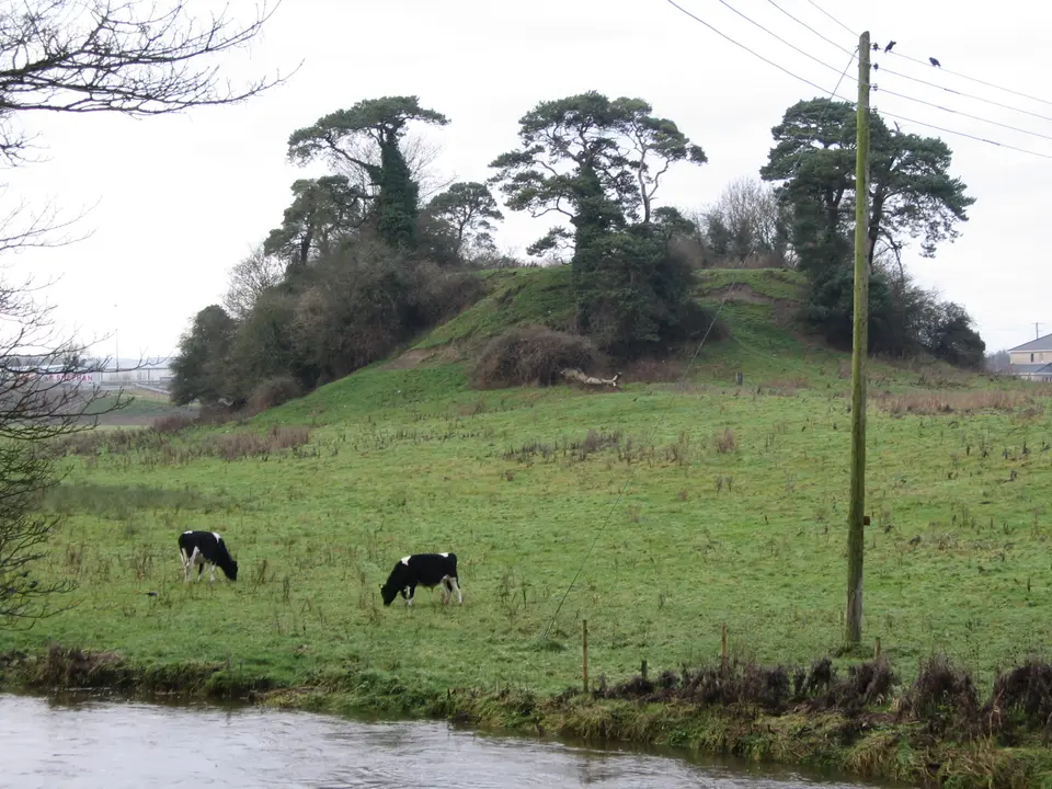Photo taken from "The Bridge", Bridge St, Callan Co Kilkenny 2004 by Barry Somers