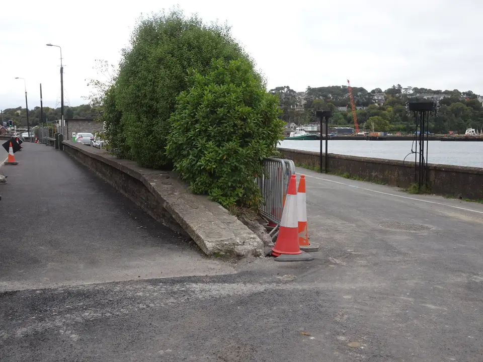 Monkstown railway station (site), County Cork (geograph 5963672)