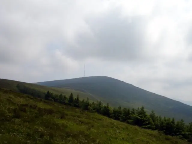 Image taken in June 2006 by Luke M. Curley. Mount Leinster, Blackstairs Mountains, Co. Carlow