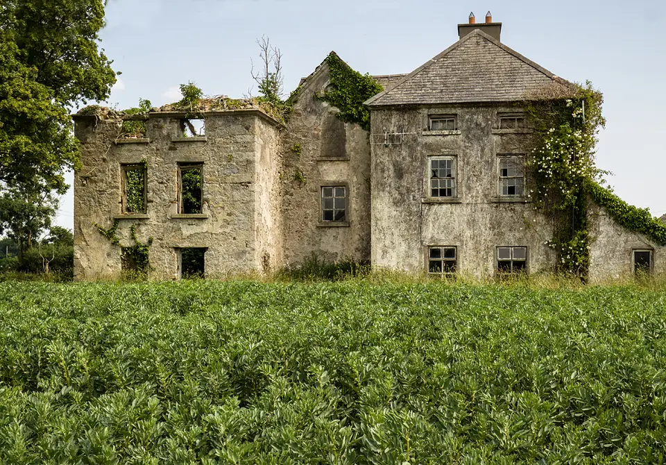 Mountpleasant House, Mountpleasant, Co. Carlow (1)