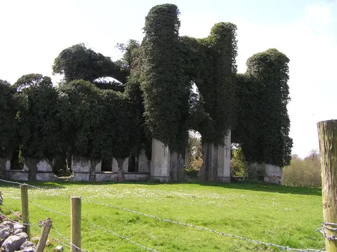 Moydrum Castle, the former seat of the Handcock family. Moydrum Castle.
