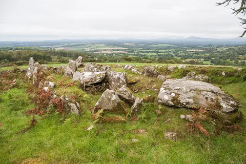 Moylisha wedge tomb, looking north.