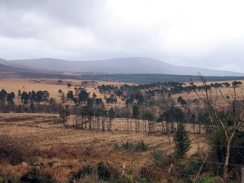 Mullaghcleevaun5169w