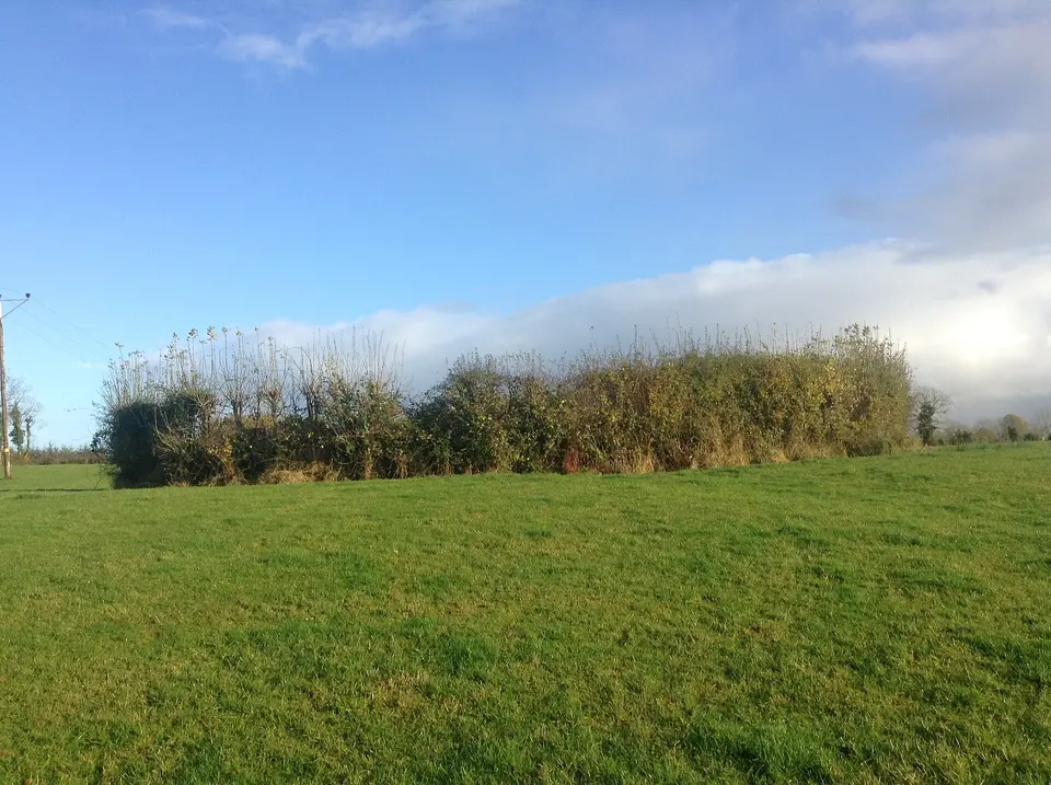 Ringfort, at Mullaun townland, Drumsna, Annaduff, County Leitrim, Ireland. Approx. Diameter=16m, Circumference = 2πr = 50m