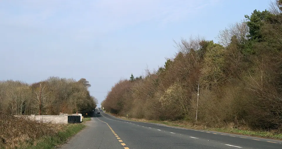 Near Ballybrittas, County Laois