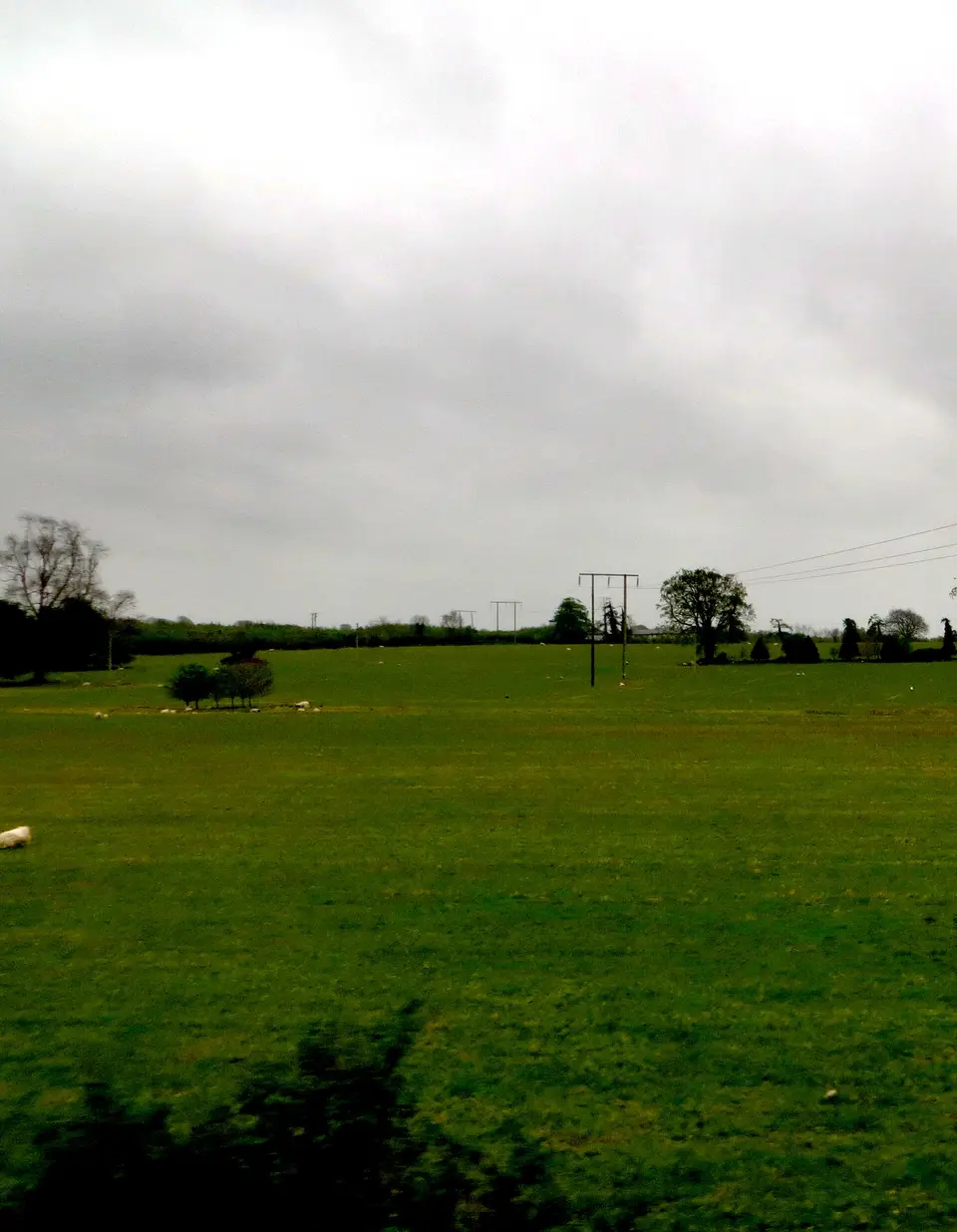 Near Portarlington