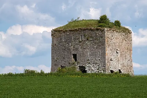 Castles of Leinster: Neigham, Kilkenny (1)