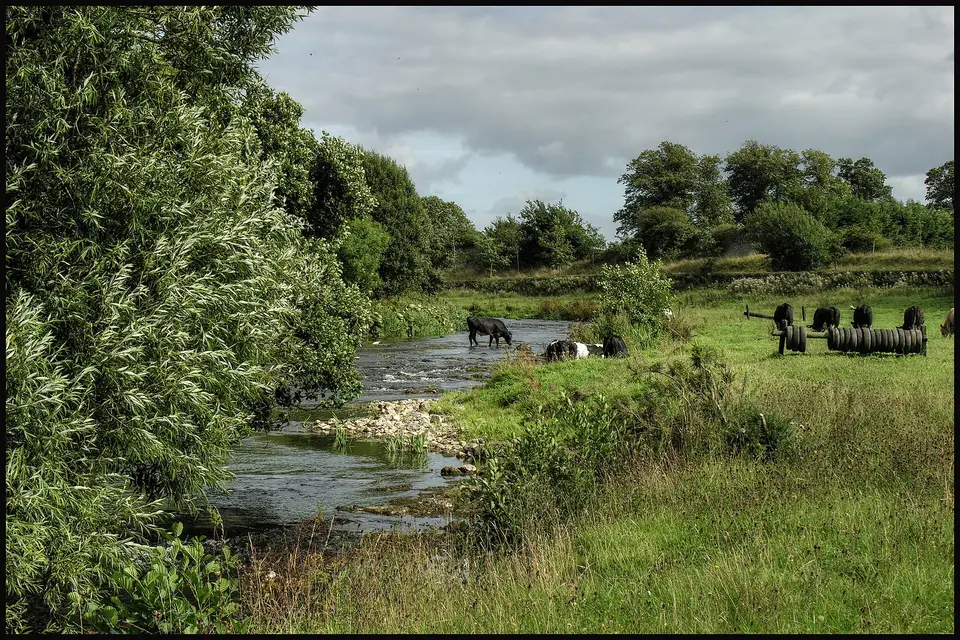 Nenagh River