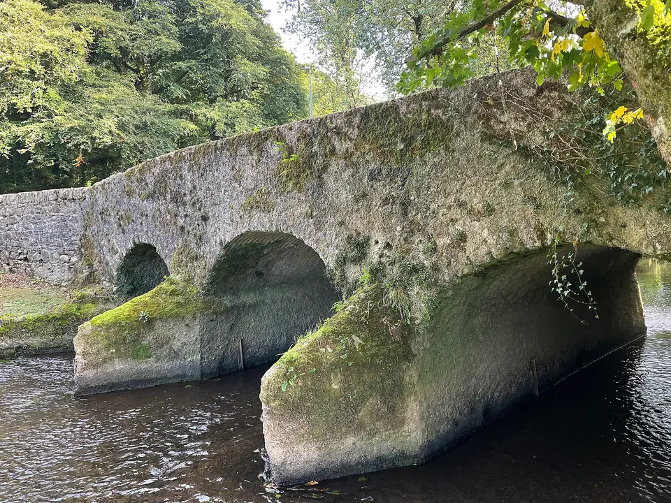 New Ross Municipal District Foulkesmill Bridge 2025 09 22 20 18 20 001
