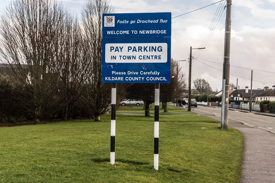 Newbridge County Kildare (Ireland) (8315586277)
