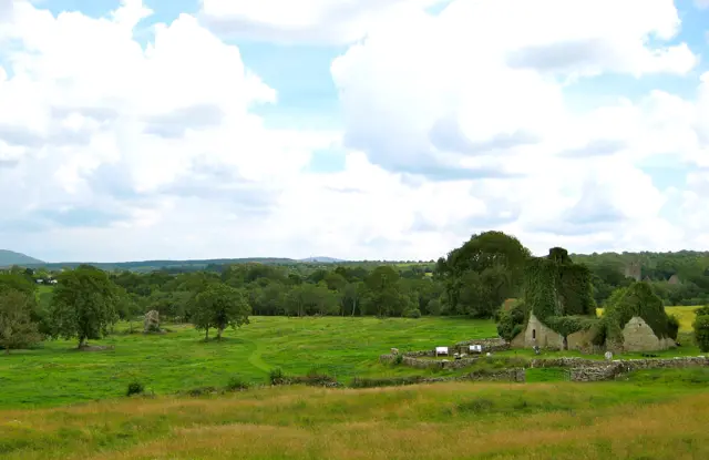 View of the medieval footprint of Newtown Jerpoint, Jerpoint Park, Co. Kilkenny