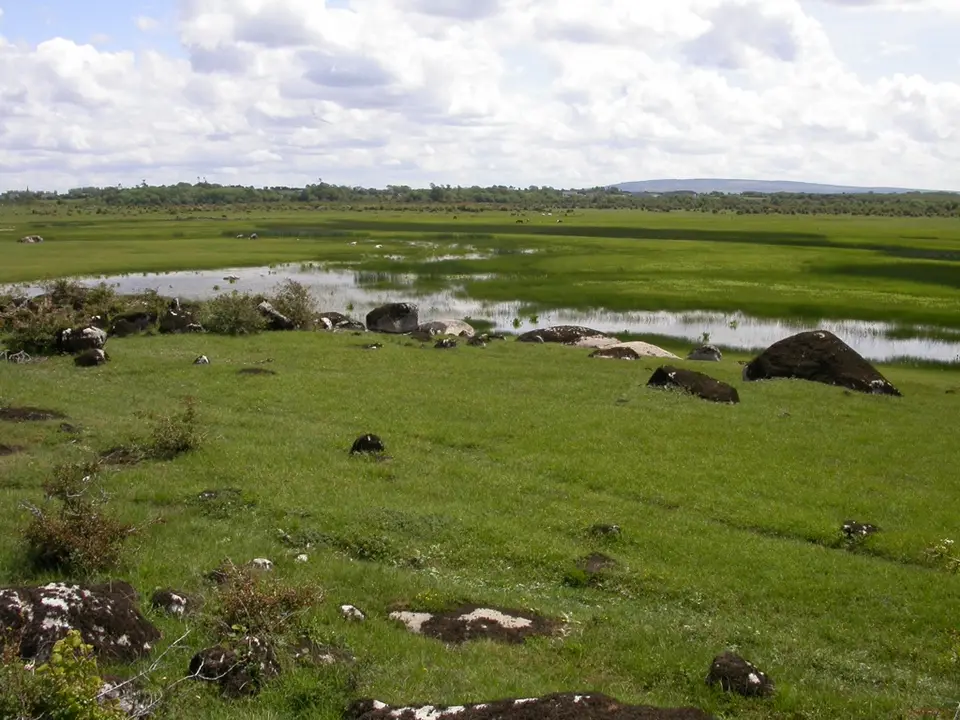 Newtown Lough, Gort, in Summer