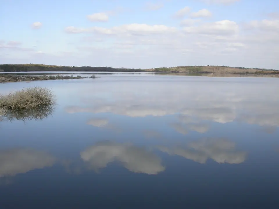 Newtown Lough, Gort, in Winter