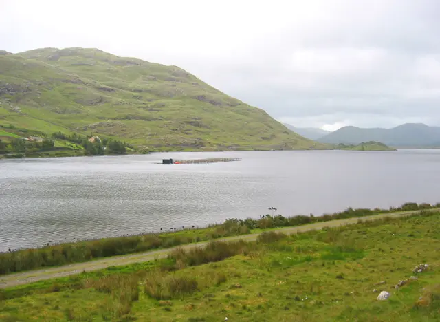 North west head of Lough Fee geograph.org.uk 199999