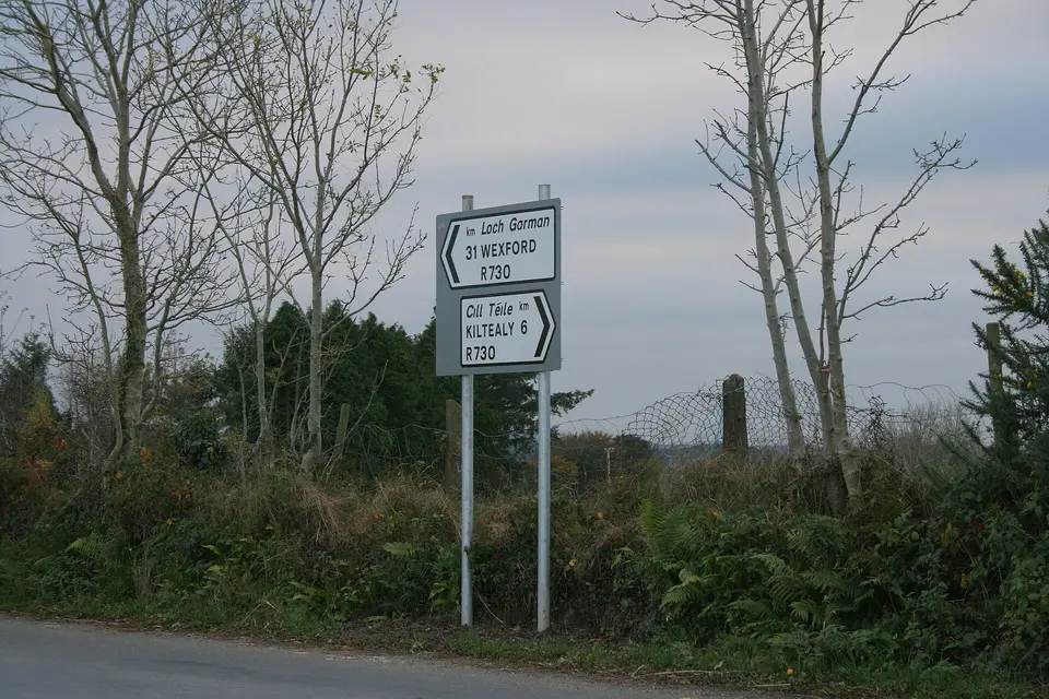 On the R730, County Wexford (2)