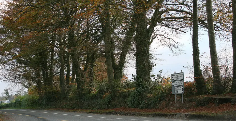 On the R730, County Wexford