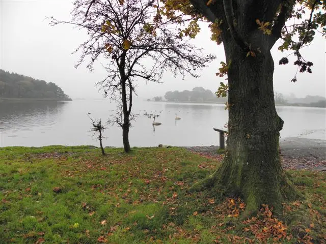 On the shore of Lough Muckno