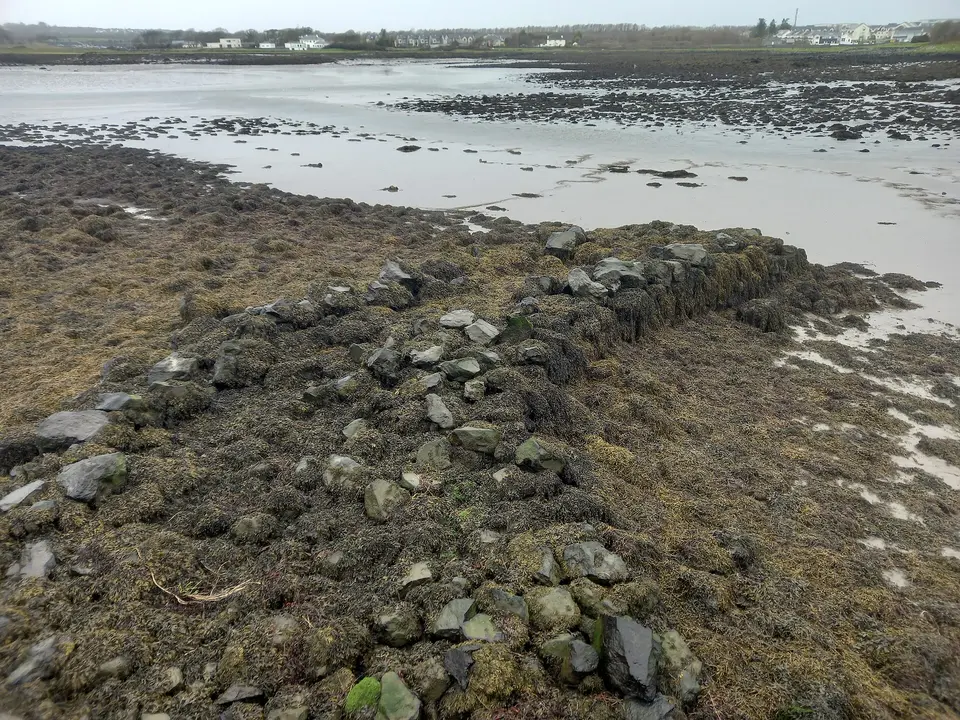 Oranmore beach
