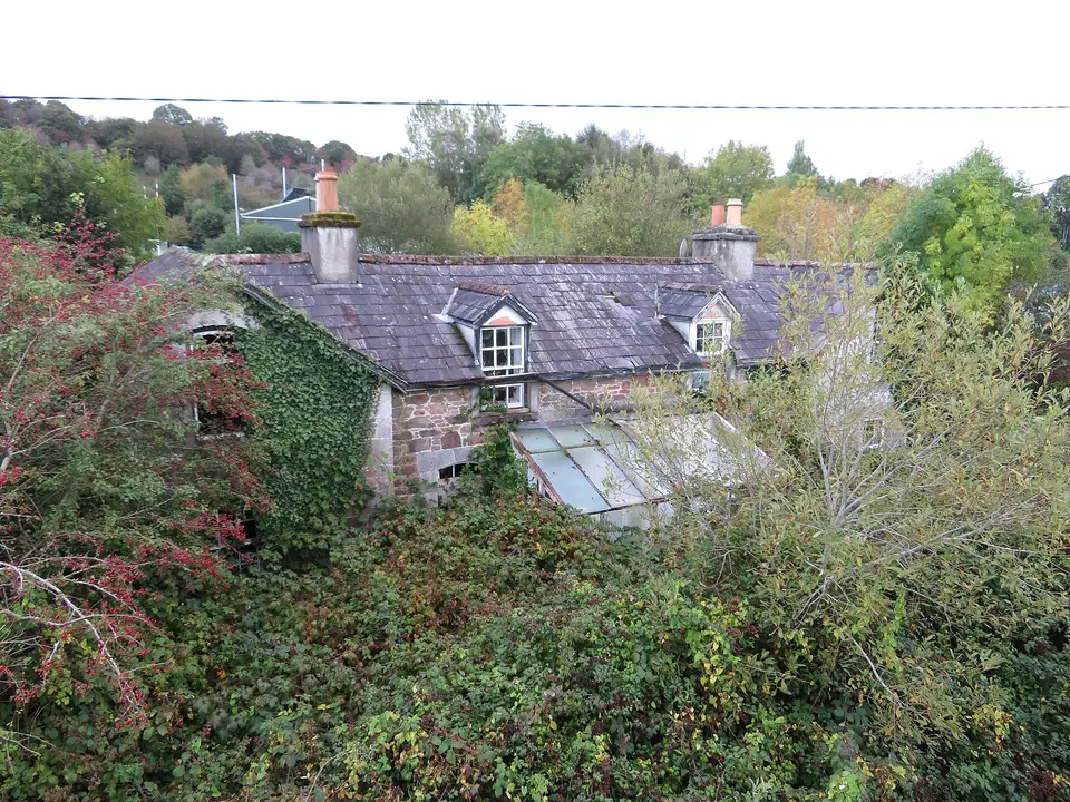 Overgrown house near Banteer station