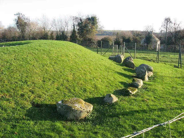 Passage tomb, Townleyhall, Co. Louth. The kerbstones of the small Neolithic passage tomb at Townleyhall.