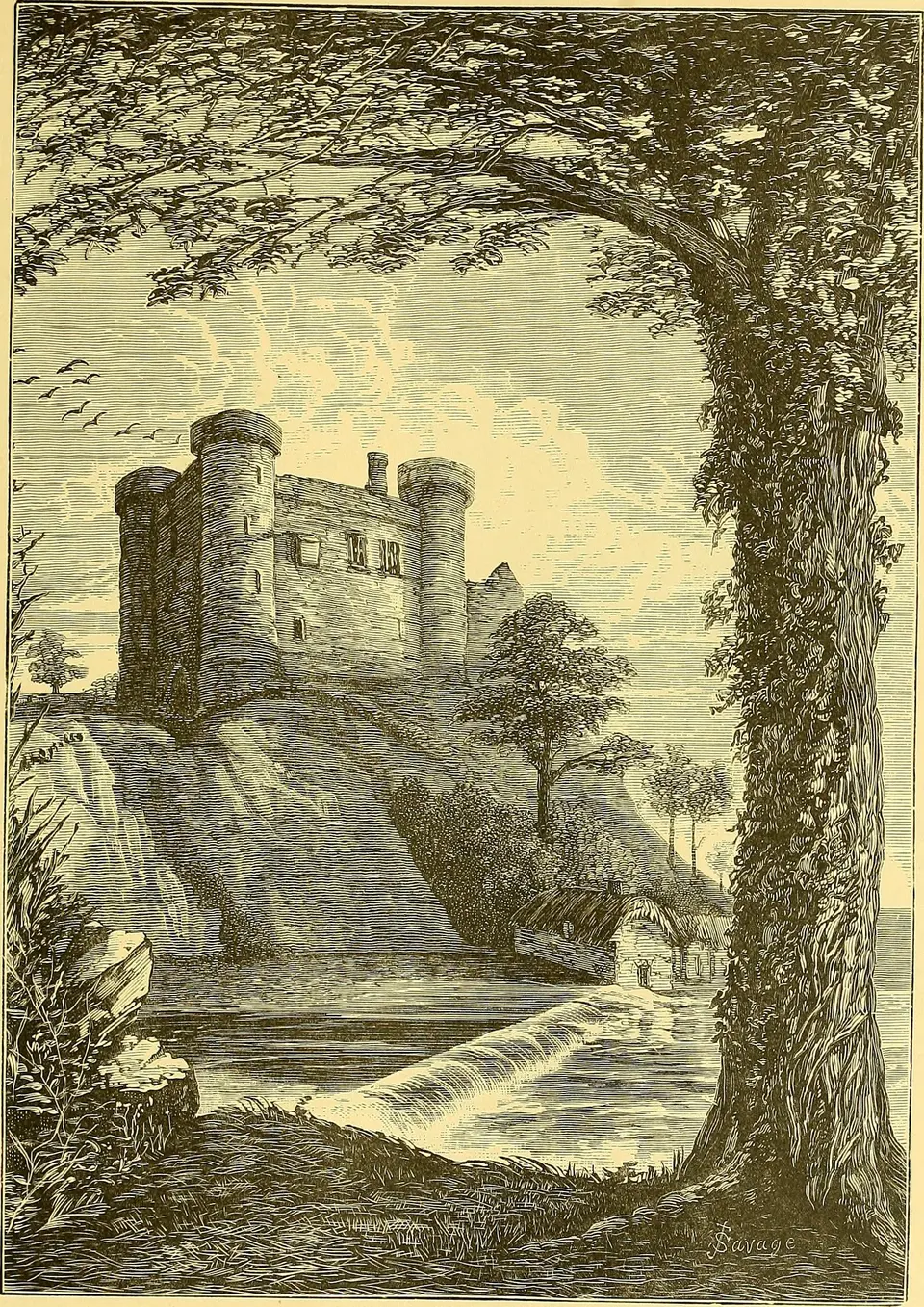 Picturesque Ireland a literary and artistic delineation of the natural scenery, remarkable places, historical antiquities, public buildings, ancient abbeys, towers, castles, and other romantic and (14779127292)
