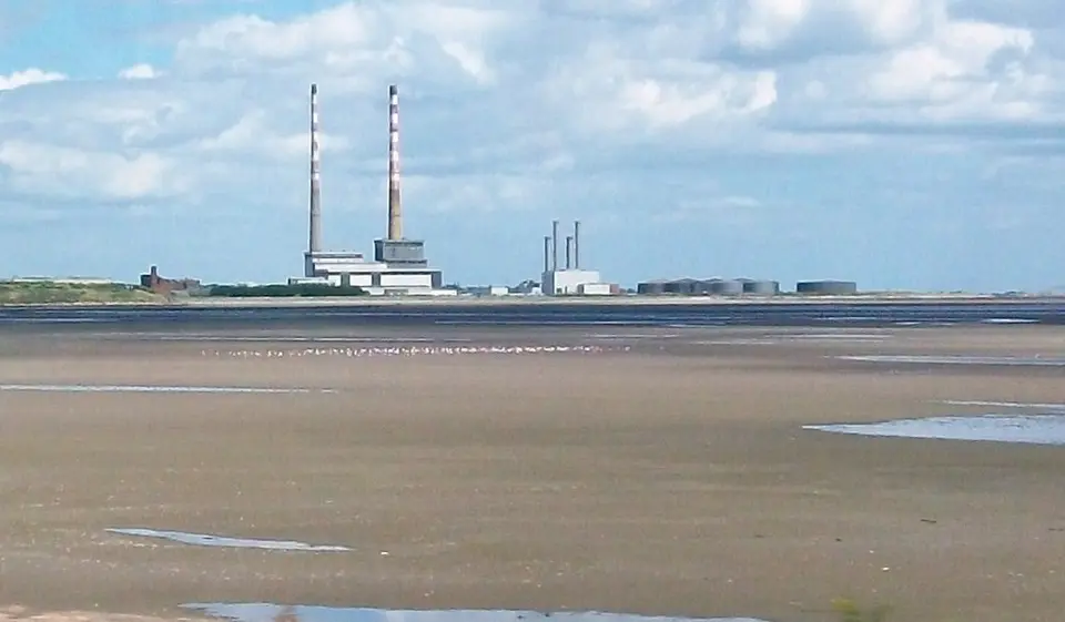 Pools and birds on the Merrion Strand