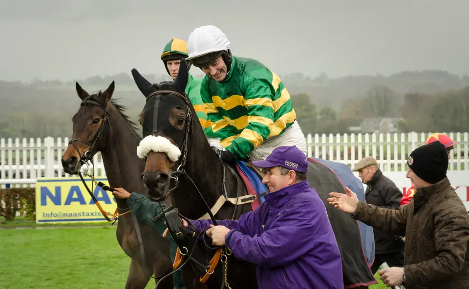 Naas racecourse, 08/11/14